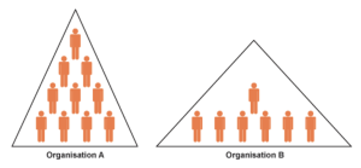 Ch Organisation and Management Summary